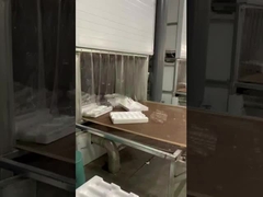 ইপিএস আকৃতির মেশিন