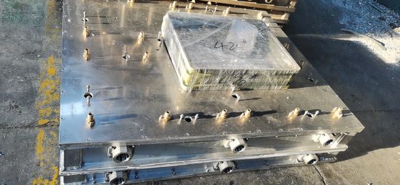 শক্তি সঞ্চয় করুন ফোম মাছ / ফল / সবজি বাক্সের জন্য কাস্টমাইজড ইপিএস ছাঁচ