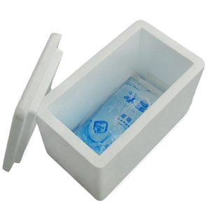 কাস্টম ইপিএস ফোম পণ্য সঠিক ইপিএস ছাঁচ নকশা এবং উত্পাদন সঙ্গে সাফল্য অর্জন